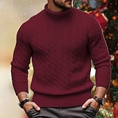 preiswerte Herrenpullover-Herren Rollkragenpulli Pullover Zur Seite fahren Gerippt Gedrehtes Stricken Strick Glatt Rollkragen warm halten Brautkleider schlicht Freizeitskleidung Urlaub Bekleidung Herbst Winter Kamel Schwarz M