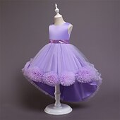 economico Vestiti per serate-Bambino Da ragazza Vestito da festa Tinta unica Senza maniche Prestazioni Compleanno Retato Bellissimo Dolce Poliestere Asimmetrico Vestito da festa Vestito svasato Abito linea A Estate 4-12 anni