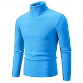 preiswerte Herrenpullover-Herren Pullover Gerippt Stricken Standard Strick Schmaler Schnitt Glatt Rollkragen Moderne zeitgenössische Arbeit Freizeitskleidung Bekleidung Winter Frühling &amp; Herbst Schwarz Weiß M L XL