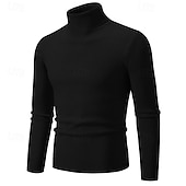 preiswerte Herrenpullover-Herren Pullover Gerippt Stricken Standard Strick Schmaler Schnitt Glatt Rollkragen Moderne zeitgenössische Arbeit Freizeitskleidung Bekleidung Winter Frühling &amp; Herbst Schwarz Weiß M L XL