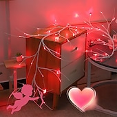 economico Striscie luci USB-1 pz. luci a forma di vite d&#039;amore per San Valentino con telecomando, luci per atmosfera da festival, per interni, camera da letto, bar, USB o batteria AAA