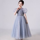 voordelige Bloemenjurken-Bloemenmeisjesjurk kinderen Voor meisjes Prinses jurk Prestatie Bruiloft Feest Elegant Mooi Netstof Effen Kleur Korte mouw Strakke ronde hals Wit Blozend Roze 4 jaar +