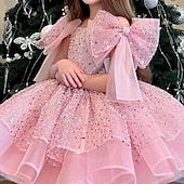 voordelige Feestjurken-Kinderen Voor meisjes Feestjurk Effen Kleur Mouwloos Prestatie Netstof Prinses Zoet Netstof Halverwege kuit Schede jurk Tule-jurk Zomer Lente Herfst Kinderen Wit Champagne Blozend Roze