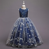 abordables Robes de fête-Enfants Fille Robe de fête Etoile Sans Manches Utilisation Noël Anniversaire Maille Magnifique Doux Polyester Maxi robe soirée Robe Évasée Robe Trapèze Eté 4-12 ans Rose Claire Rouge Bleu