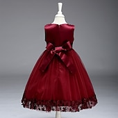 economico Abiti da damigella-Abito da damigella d&#039;onore bambina bambini Da ragazza Abito da principessa Prestazioni Matrimonio Feste Elegante Bellissimo Retato Tinta unica Senza maniche Girocollo Grigio Rosso bordeaux 4 anni +