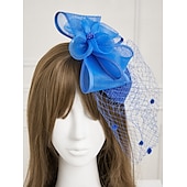 economico Fascinator-Piume  Fascinatori in rete  Cappelli  Copricapo con piuma  Cappello  Fiore 1 PC Matrimonio  Corsa di cavalli  Giorno delle donne Copricapo Abito da impressionare Abito da gara 2025