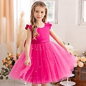 voordelige Bloemenjurken-Bloemenmeisjesjurk kinderen Voor meisjes Prinses jurk Prestatie Bruiloft Feest Elegant Mooi Netstof Effen Kleur Mouwloos Strakke ronde hals Lichtgeel Licht Roze 4 jaar +