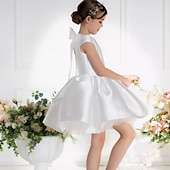 preiswerte Kleider für die Blumenmädchen-kinderkleidung Mädchen Blumenmädchen Kleid Kleid für die Erstkommunion Party Kleid Feste Farbe Ärmellos Leistung Hochzeit Party Gitter Prinzessin Süß Gitter Mitte der Wade Etuikleid Tüll-Kleid Sommer