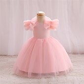 billige Blomsterkjoler-Blomsterpikekjole Barn Jente Prinsesse kjole Ytelse Bryllup Fest Elegant Vakker Netting Helfarge Kortermet Crew-hals Svart Hvit 4 år +