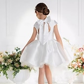 preiswerte Kleider für die Blumenmädchen-kinderkleidung Mädchen Blumenmädchen Kleid Kleid für die Erstkommunion Party Kleid Feste Farbe Ärmellos Leistung Hochzeit Party Gitter Prinzessin Süß Gitter Mitte der Wade Etuikleid Tüll-Kleid Sommer