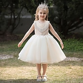 abordables Robes à Fleurs pour Filles-Robe de Demoiselle d&#039;Honneur Fille enfants Fille Robe de princesse Utilisation Mariage Soirée Elégant Magnifique Maille Couleur unie Sans Manches Col Ras du Cou Blanche Champagne 4 ans et +