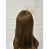 economico Fascinator-Fascinatori  Cappelli  Fasce per capelli in tulle  piume  rete con 1 pezzo Matrimonio  Occasione speciale  Copricapo per tea party per un&#039;ottima impressione Fascinatori del Derby Giornata di corsa