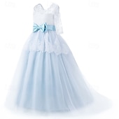 voordelige Bloemenjurken-Bloemenmeisjesjurk kinderen Voor meisjes Prinses jurk Prestatie Bruiloft Feest Elegant Mooi Kant Netstof Effen Kleur Halve mouw V-hals blauw 4 jaar +