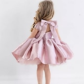 preiswerte Kleider für die Blumenmädchen-kinderkleidung Mädchen Blumenmädchen Kleid Kleid für die Erstkommunion Party Kleid Feste Farbe Ärmellos Leistung Hochzeit Party Gitter Prinzessin Süß Gitter Mitte der Wade Etuikleid Tüll-Kleid Sommer