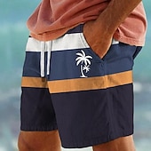 Χαμηλού Κόστους Μαγιό και σορτς για σέρφινγκ-Ανδρικά Σορτσάκια Κολύμβησης Μαγιό Βερμούδα Ριγέ Κορδόνι Με τσέπες Γρήγορο Στέγνωμα Με τσέπες Σορτς παραλίας Μαγιό Σέρφινγκ Παραλία Θαλάσσια Σπορ Καλοκαίρι