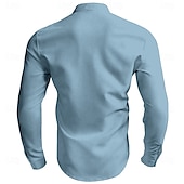 preiswerte Vögel &amp; Tiere-Herren Papagei Hawaiihemd Sommerhemd Aloha-Shirt Langarm Hawaiianisch Resort Urlaub Sommer Frühling V Ausschnitt Knopf hoch Weiß Blau Grün Beige