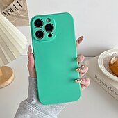 Недорогие Чехлы для iPhone-телефон Кейс для Назначение iPhone 16 Про Макс Плюс Кейс на заднюю панель Защита от удара Ретро Силикон