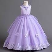 billige Blomsterkjoler-Blomsterpikekjole Barn Jente Prinsesse kjole Ytelse Bryllup Fest Elegant Vakker Netting Helfarge Ermeløs Crew-hals Vinrød Hvit 4 år +