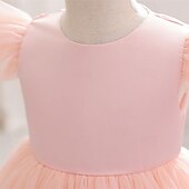 voordelige Bloemenjurken-Bloemenmeisjesjurk kinderen Voor meisjes Prinses jurk Prestatie Bruiloft Feest Elegant Mooi Netstof Effen Kleur Mouwloos Strakke ronde hals blauw Rode roos 4 jaar +