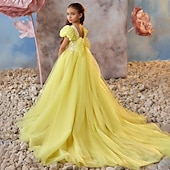preiswerte Kleider für die Blumenmädchen-kinderkleidung Mädchen Blumenmädchen Kleid Party Kleid Feste Farbe Ärmellos Langarm Leistung Hochzeit Party Gitter Prinzessin Süß Gitter Mitte der Wade Etuikleid Tüll-Kleid Sommer Frühling Herbst