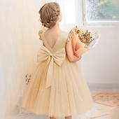voordelige Bloemenjurken-Bloemenmeisjesjurk kinderen Voor meisjes Prinses jurk Prestatie Bruiloft Feest Elegant Mooi Netstof Effen Kleur Mouwloos Strakke ronde hals Lichtgeel Licht Roze 4 jaar +