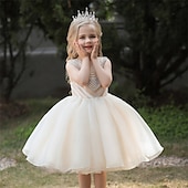 abordables Robes à Fleurs pour Filles-Robe de Demoiselle d&#039;Honneur Fille enfants Fille Robe de princesse Utilisation Mariage Soirée Elégant Magnifique Maille Couleur unie Sans Manches Col Ras du Cou Blanche Champagne 4 ans et +