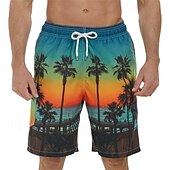 お買い得  メンズボクサー水着-男性用 スイムトランク スイムショーツ ボードショーツ 水着 ドローストリング ポケット付き 水泳 サーフィン ビーチ ウォータースポーツ トロピカル風 プリント 夏 春