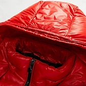 billiga Herrdunjackor och -parkas-Herr Vinterjacka Dun Pufferjacka Hoodiejacka Huva Vitt anddun Utomhus Sport Helgen Normal Elegant och modernt Varm Fritid Vinter Slät Svart Rubinrött Pufferjacka