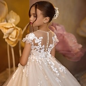 preiswerte Kleider für die Blumenmädchen-kinderkleidung Mädchen Blumenmädchen Kleid Kleid für die Erstkommunion Party Kleid Feste Farbe Ärmellos Langarm Leistung Hochzeit Party Gitter Prinzessin Süß Gitter Mitte der Wade Etuikleid Tüll-Kleid