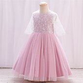 billige Blomsterkjoler-Blomsterpikekjole Barn Jente Prinsesse kjole Ytelse Bryllup Fest Elegant Vakker Netting Helfarge Kortermet Crew-hals Rosa 4 år +