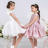 preiswerte Kleider für die Blumenmädchen-kinderkleidung Mädchen Blumenmädchen Kleid Kleid für die Erstkommunion Party Kleid Feste Farbe Ärmellos Leistung Hochzeit Party Gitter Prinzessin Süß Gitter Mitte der Wade Etuikleid Tüll-Kleid Sommer