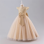 preiswerte Kleider für die Blumenmädchen-kinderkleidung Mädchen Blumenmädchen Kleid Party Kleid Farbblock Ärmellos Leistung Hochzeit Party Krawattenknoten Schön Süß Polyester Maxi abendkleider Schaukelkleid A Linie Kleid Sommer 4 Jahre +
