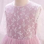 billige Blomsterkjoler-Blomsterpikekjole Barn Jente Prinsesse kjole Ytelse Bryllup Fest Elegant Vakker Netting Helfarge Kortermet Crew-hals Rosa 4 år +