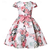 abordables Robes de fête-Enfants Fille Robe de fête Fleur Manche Courte Utilisation Anniversaire Noeud de cravate Magnifique Doux Coton Maxi robe soirée Robe Évasée Robe Trapèze Eté 4 ans et + Jaune Rose Claire Rouge