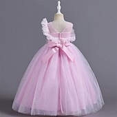 billige Blomsterkjoler-Blomsterpikekjole Barn Jente Prinsesse kjole Ytelse Bryllup Fest Elegant Vakker Netting Helfarge Ermeløs Crew-hals Rosa Blå 4 år +