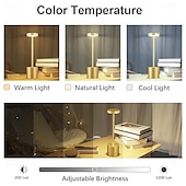 economico Lampade da tavolo-lampada da scrivania retrò in alluminio ricaricabile tramite usb - luce notturna da tavolo con controllo touch 1 pz