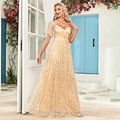 levne růžová-A-line večerní róba elegantní šaty na večírek plesové podlahové délky bez rukávů výstřih do V podzimní svatební host s tylovým žebříčkovým výstřihem s výšivkou