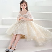 cheap Flower Girl's Dresses-Flower Girl Dress Kid's Girls' Princess Dress Performance Wedding Party Elegant Beautiful Sequins Mesh Solid Color Short Sleeve Crew Neck Champagne 4 years+