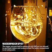 abordables Guirlandes lumineuses USB-Guirlande lumineuse LED USB élégante pour réception de mariage, 2 pièces, 5 m/10 m/20 m, télécommande 8 modes, guirlandes de fées, lampes de décoration pour mariage, Noël, vacances