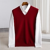 voordelige Heren Elite Truien &amp; Cardigans-Voor heren Trui vest breien Effen Kleur V-hals Gebreid Elegant Buiten Huis Kleding Lente Herfst Rode Wijn Zwart S M L