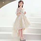 cheap Flower Girl's Dresses-Flower Girl Dress Kid's Girls' Princess Dress Performance Wedding Party Elegant Beautiful Sequins Mesh Solid Color Short Sleeve Crew Neck Champagne 4 years+