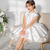 preiswerte Kleider für die Blumenmädchen-kinderkleidung Mädchen Blumenmädchen Kleid Kleid für die Erstkommunion Party Kleid Feste Farbe Ärmellos Leistung Hochzeit Party Gitter Prinzessin Süß Gitter Mitte der Wade Etuikleid Tüll-Kleid Sommer