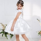 preiswerte Kleider für die Blumenmädchen-kinderkleidung Mädchen Blumenmädchen Kleid Kleid für die Erstkommunion Party Kleid Feste Farbe Ärmellos Leistung Hochzeit Party Gitter Prinzessin Süß Gitter Mitte der Wade Etuikleid Tüll-Kleid Sommer