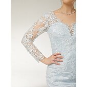 preiswerte Bodenlänge-Meerjungfrau/Trompete Strandhochzeit Mutter der Braut Kleid elegant V-Ausschnitt Sweep/Pinselschleppe Spitze Tüll lange Ärmel mit Applikationen 2025