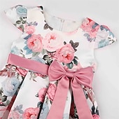 abordables Robes de fête-Enfants Fille Robe de fête Fleur Manche Courte Utilisation Anniversaire Noeud de cravate Magnifique Doux Coton Maxi robe soirée Robe Évasée Robe Trapèze Eté 4 ans et + Jaune Rose Claire Rouge