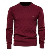 billiga Herrarnas Elite Tröjor &amp; Koftor-Herr Pullover tröja Sticka Ensfärgat Rund hals Stickat Elegant Jul Utomhus Kläder Raglanärm Vår Höst Svart Rubinrött S M L