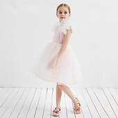 billige Blomsterkjoler-Blomsterpikekjole Barn Jente Prinsesse kjole Ytelse Bryllup Fest Elegant Vakker Netting Helfarge Kortermet Crew-hals Svart Hvit 4 år +