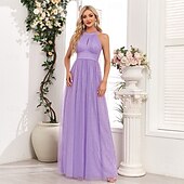 levne Šaty pro svatební hosty-A-line šaty pro svatební hosty elegantní šaty svatební hosti na večírky maximální délky bez rukávů halterneck podzimní svatební host tulle s mašlí