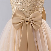 preiswerte Kleider für die Blumenmädchen-kinderkleidung Mädchen Blumenmädchen Kleid Party Kleid Farbblock Ärmellos Leistung Hochzeit Party Krawattenknoten Schön Süß Polyester Maxi abendkleider Schaukelkleid A Linie Kleid Sommer 4 Jahre +