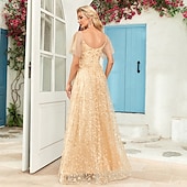 levne růžová-A-line večerní róba elegantní šaty na večírek plesové podlahové délky bez rukávů výstřih do V podzimní svatební host s tylovým žebříčkovým výstřihem s výšivkou